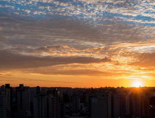 Nam curabitur quis lobortis posuere vitae ligula malesuada, fames scelerisque auctor fringilla eros in, cras diam rhoncus fermentum